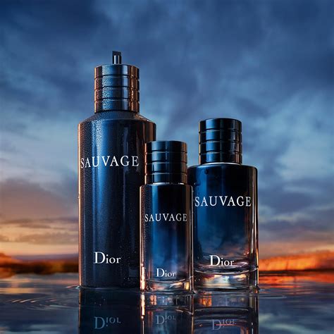 christian dior sauvage sephora|sauvage Dior price check.